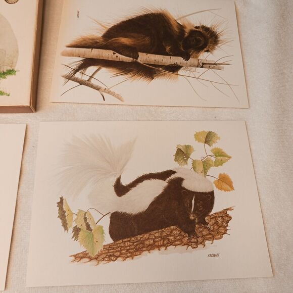 1980 American Wildlife Greeting 8 Cards From Current Vintage w Envelopes & Box - Picture 11 of 16
